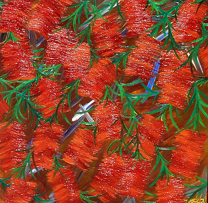 Bottle Brush Tree