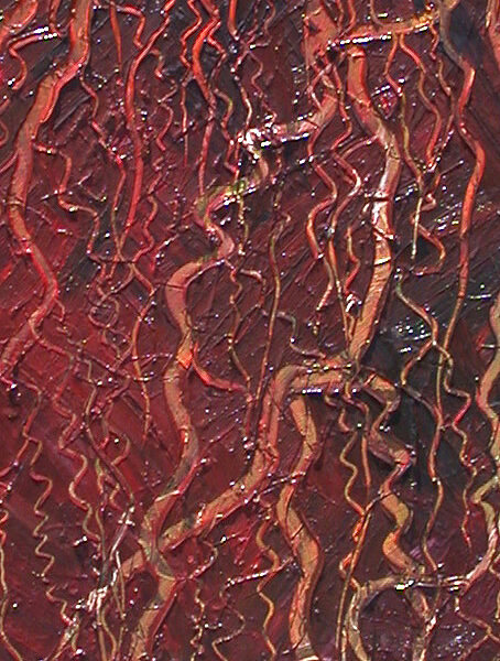 Bush Vines