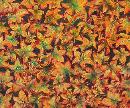 Colours of Autumn