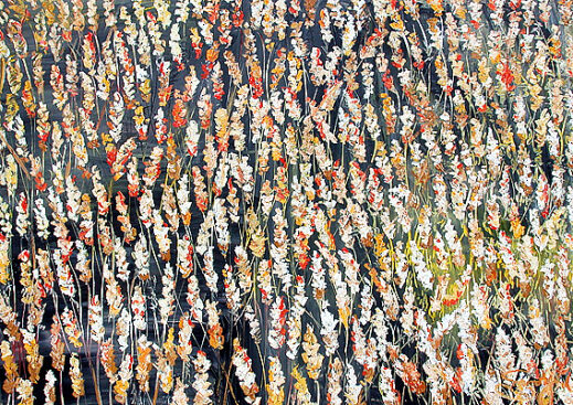 Goldern Wheat Fields