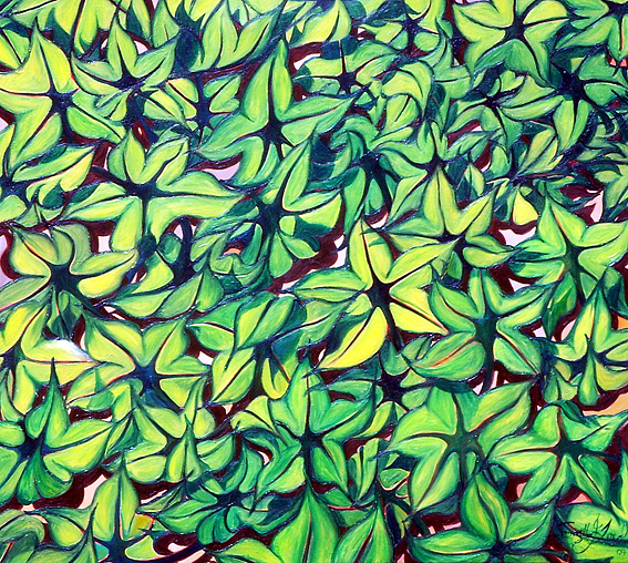 Green Star Leaves