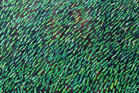 Green Wheat Fields