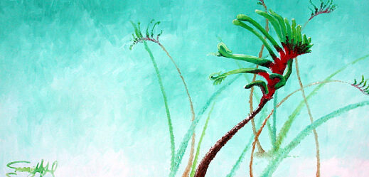 Kangaroo Paws - Red & Green