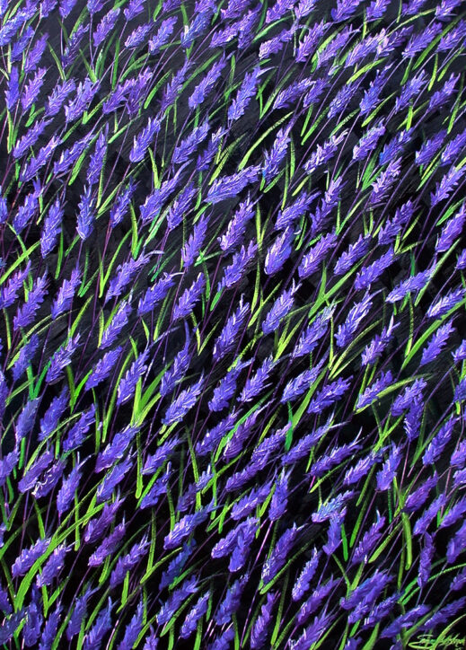 Lavender