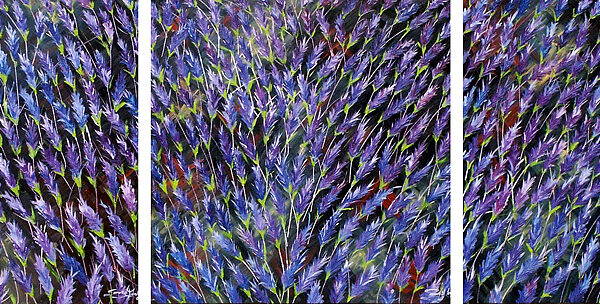 Lavender Vision