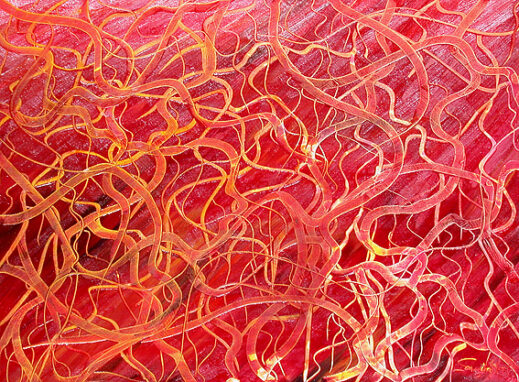 Red Vines