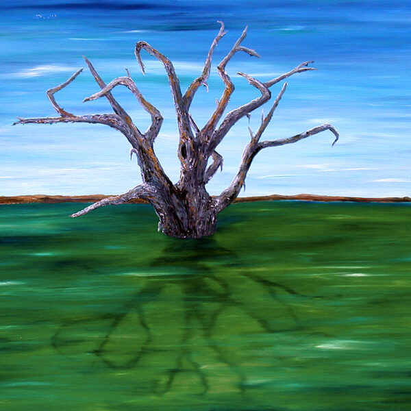 River Tree
