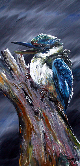 Sacred Kingfisher