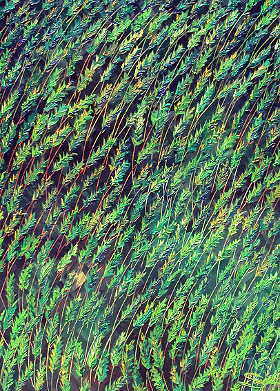 Wheat Field