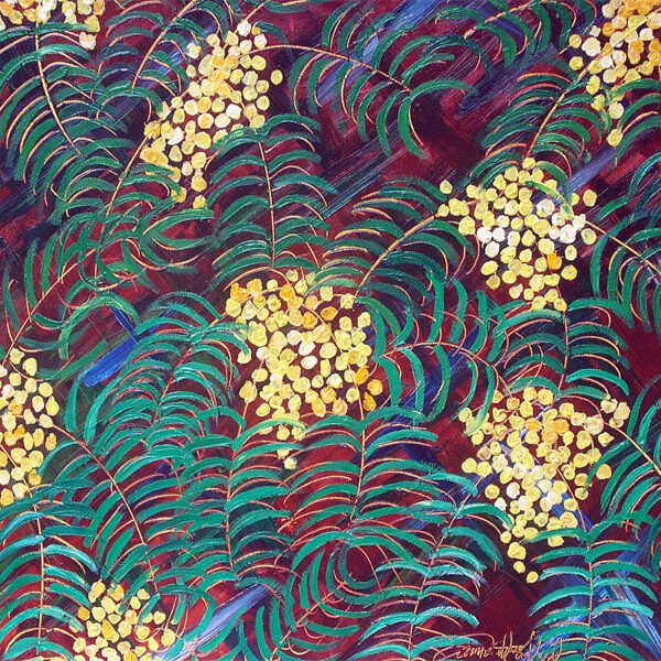 Yellow Wattle