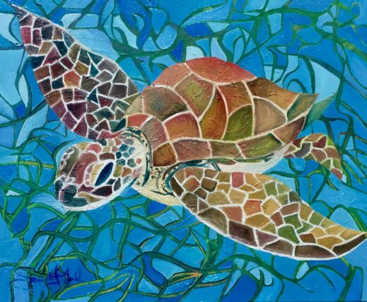 Whitsunday's Turtle
