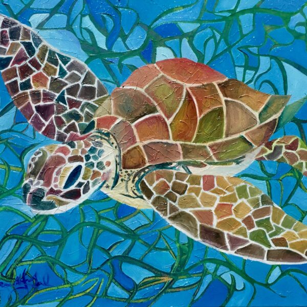 Whitsunday's Turtle