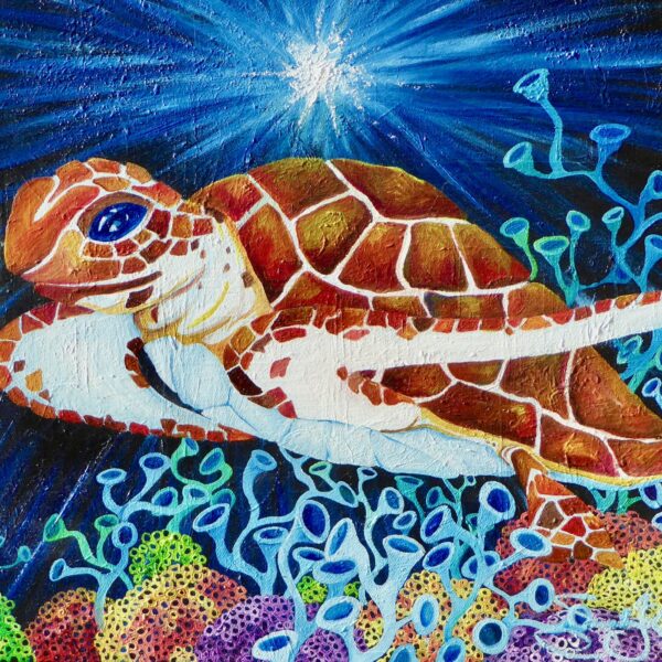 Swimming Sea Turtle
