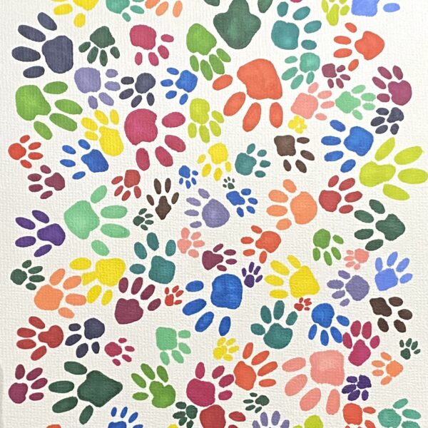 Paws