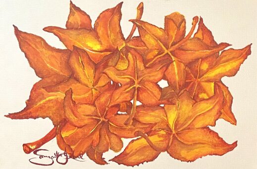 Burn Autumn Leaves