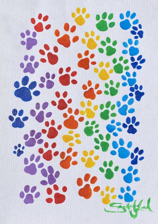 Rainbow Paws