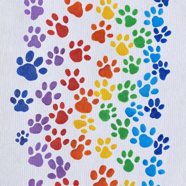Rainbow Paws