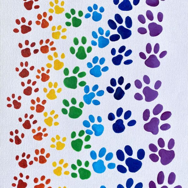 Rainbow Paws No.2